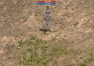 錄製_2025_03_23_07_42_37_708.gif